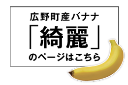 広野産バナナ「綺麗」のページはこちら