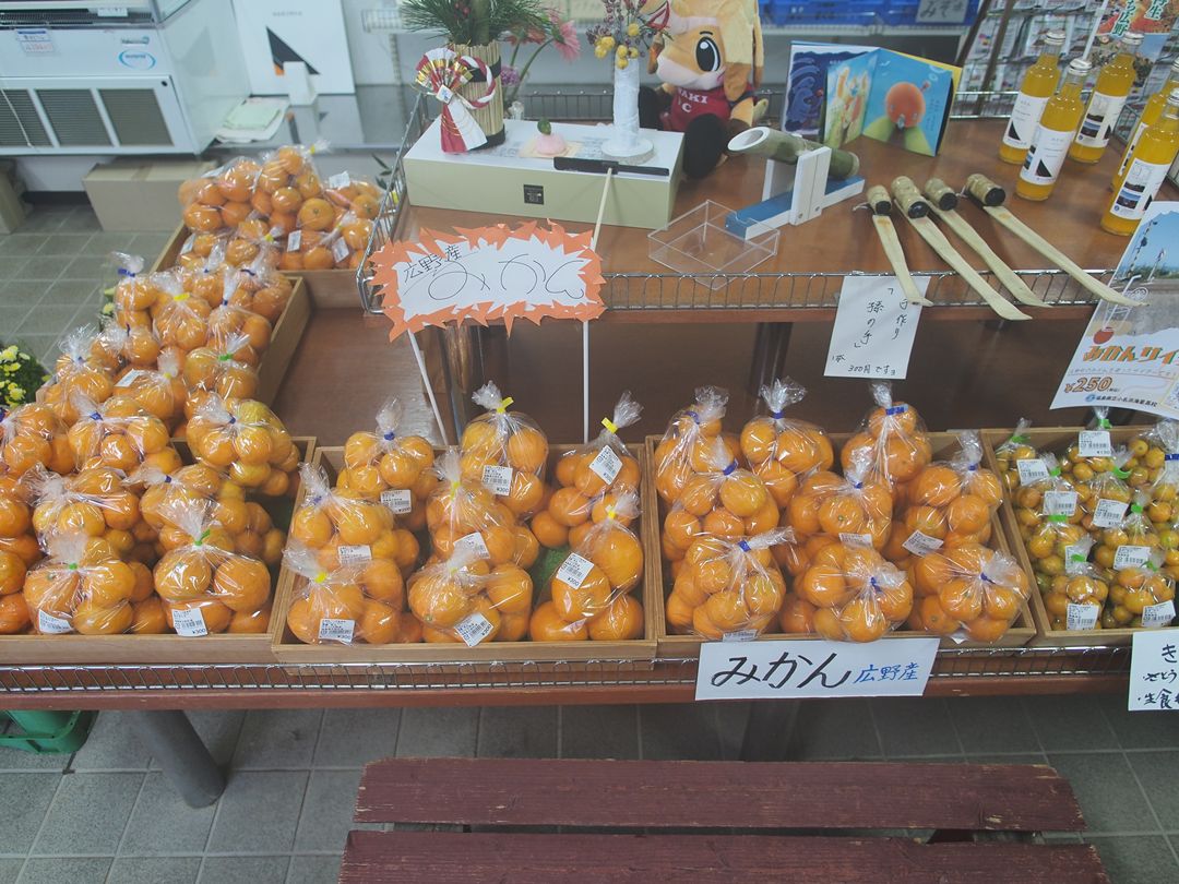 12/11～14 直売所「のらっこ」の旬のお野菜情報