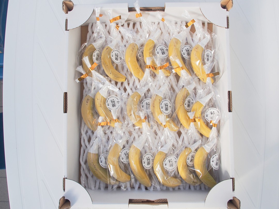 12/13・14 バナナ「綺麗」を週末に販売します