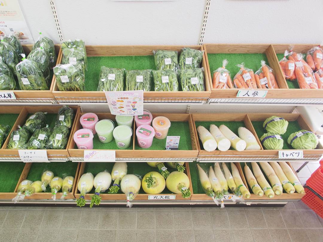 2/19～2/22 直売所「のらっこ」の旬のお野菜情報