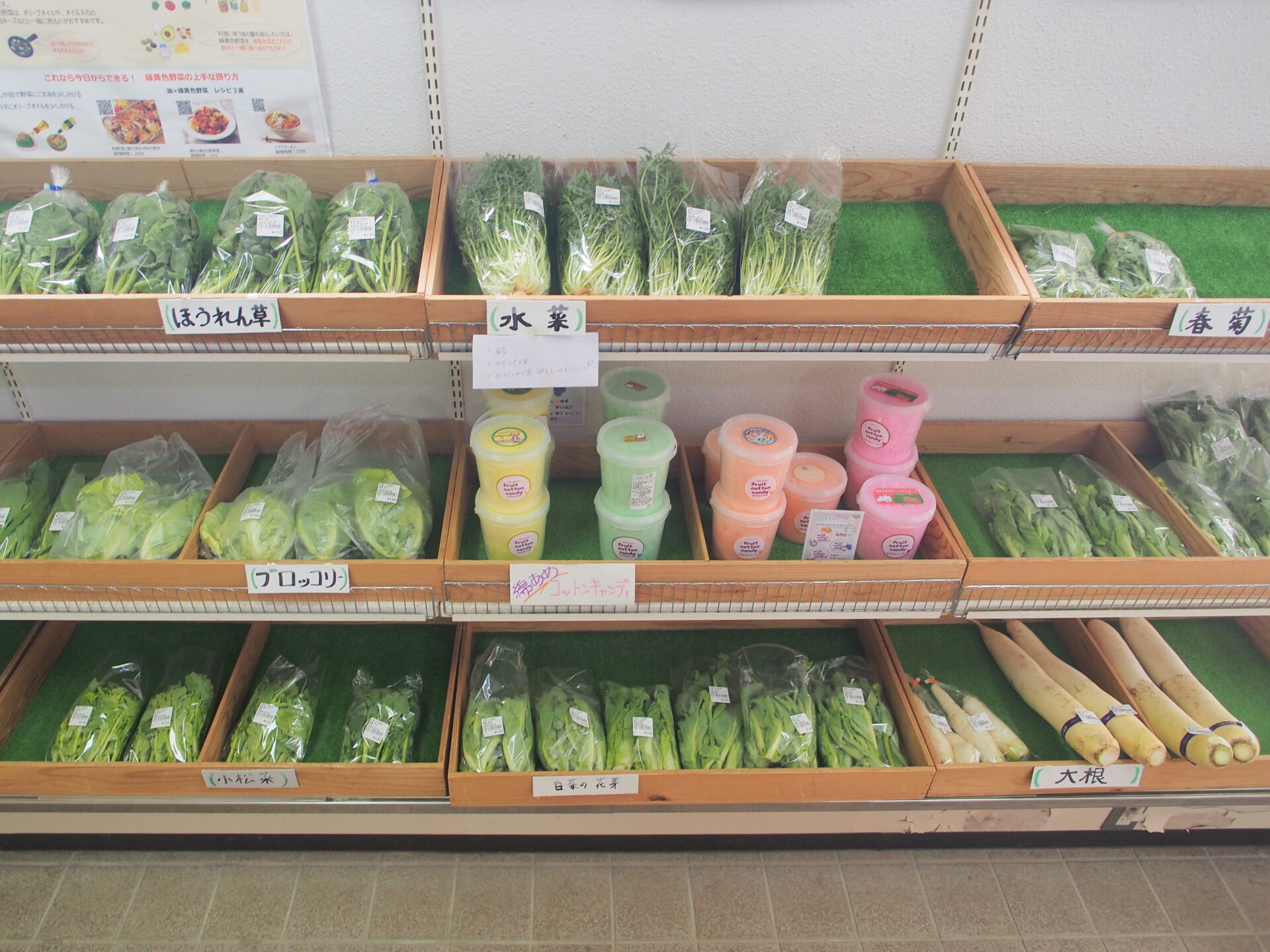 3/19～3/22 直売所「のらっこ」の旬のお野菜情報